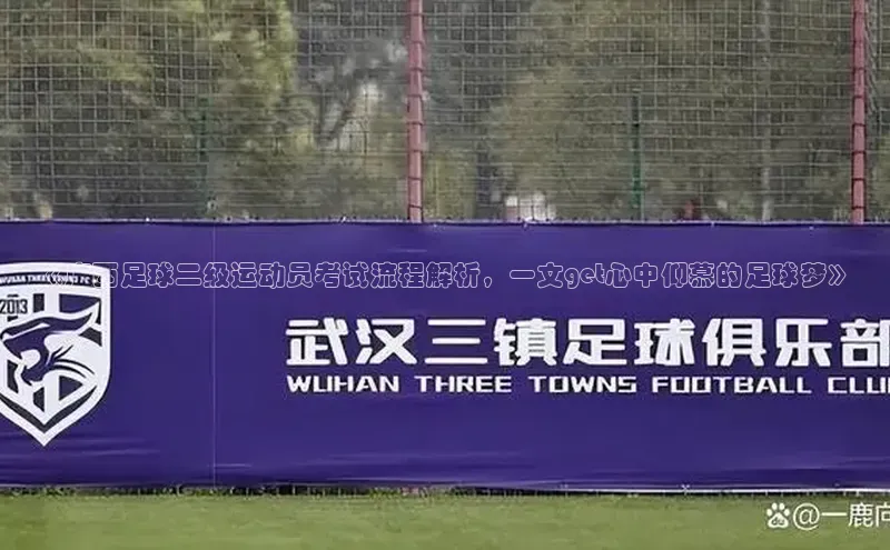 杏耀平台娱乐华策影视