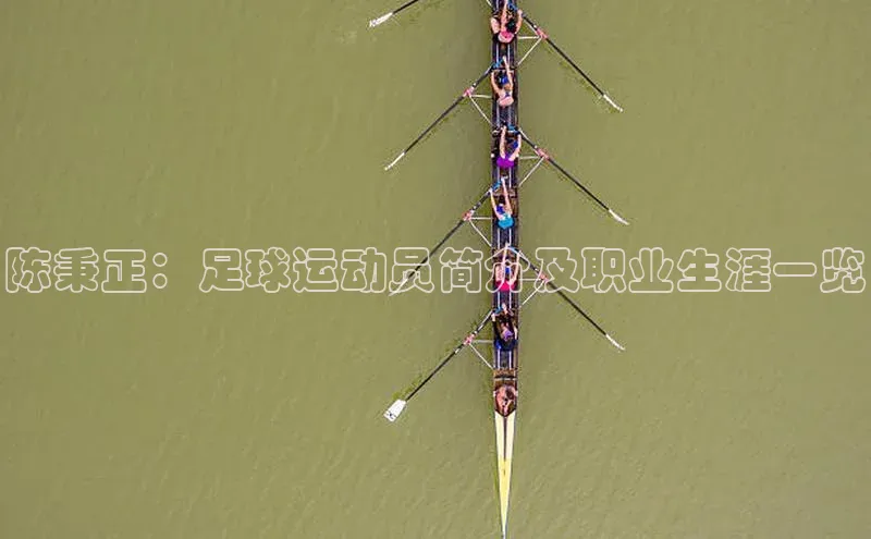 杏耀平台测速地址金山办公