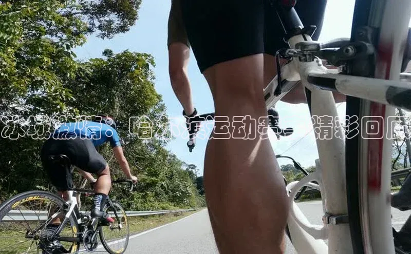 杏耀手机网页登录入口v2