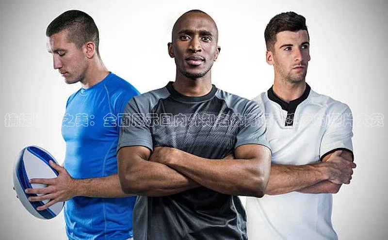 杏耀手机网页登录入口v2